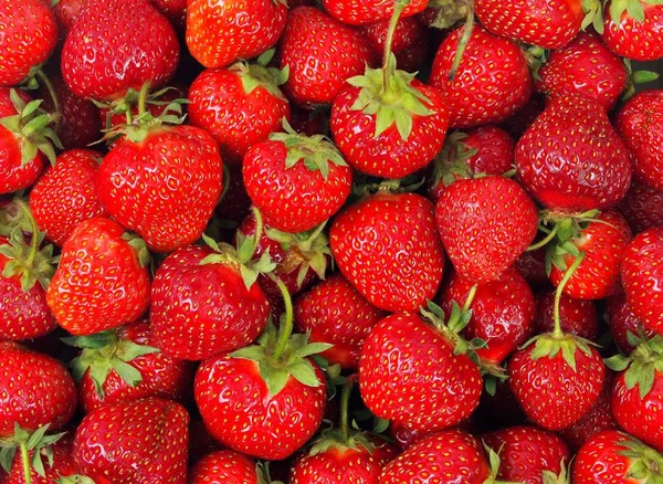 Färska jordgubbar bakgrund — Stockfoto
