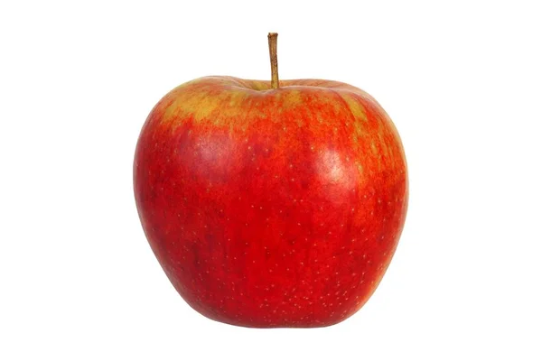 红苹果，白苹果 — 图库照片