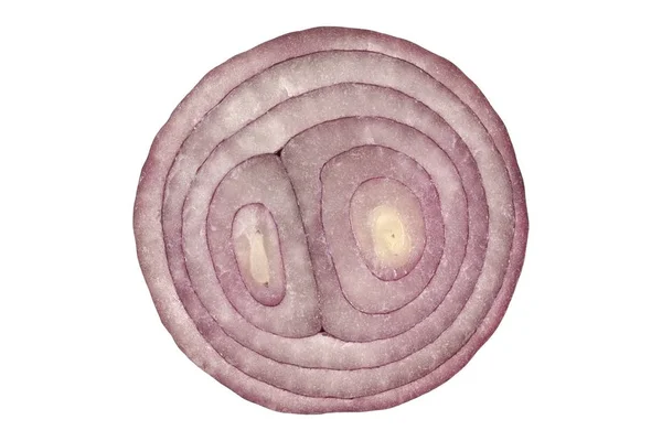 Cut onion on white — Stock Photo, Image