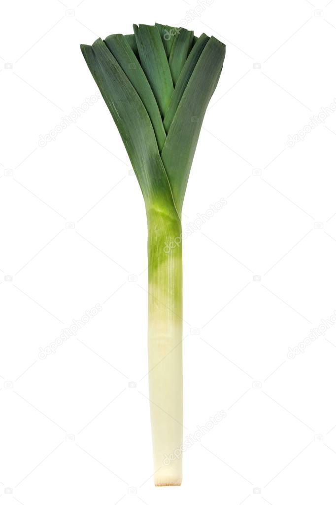 Leek on White