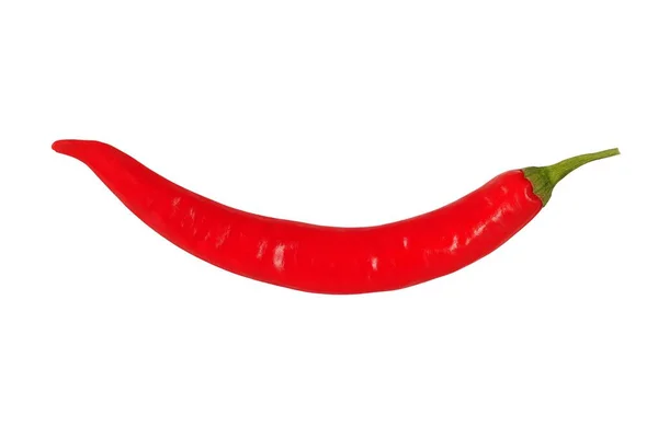 Rode Hete Chili Peper Geïsoleerd Witte Achtergrond — Stockfoto