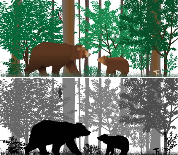 Медведи на фоне деревьев. Цветной и черно-белый вектор . — стоковый вектор