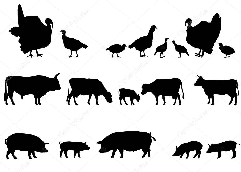 Collection of silhouettes of farm animals - turkeys, cows and pigs