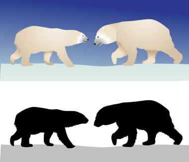 Kutup ayıları renkli görüntü ve siluet