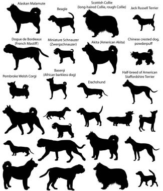 Köpek gösteri siluetleri
