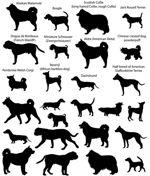 Dog show silhouettes — Stock Vector