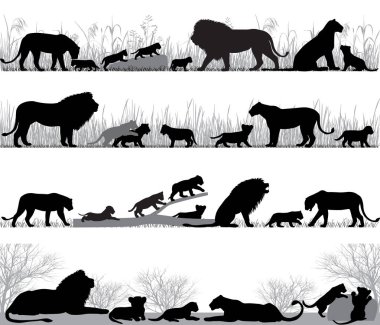 Free Free 173 Lion Cub Svg Free SVG PNG EPS DXF File