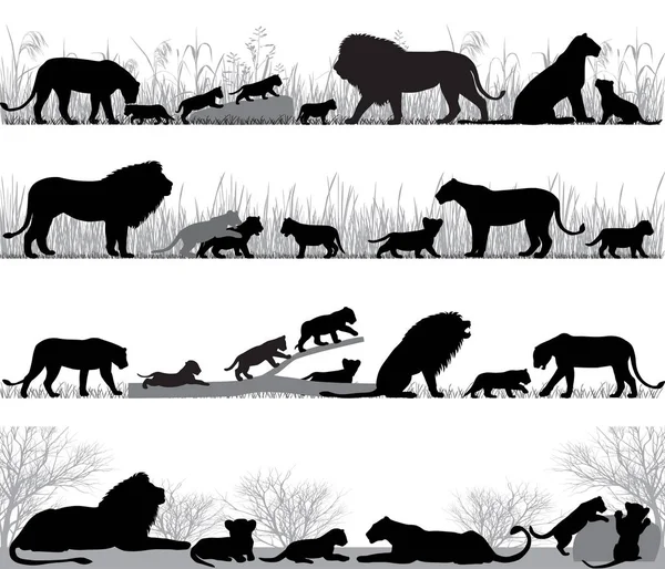 Silhouette de famille du lion — Image vectorielle