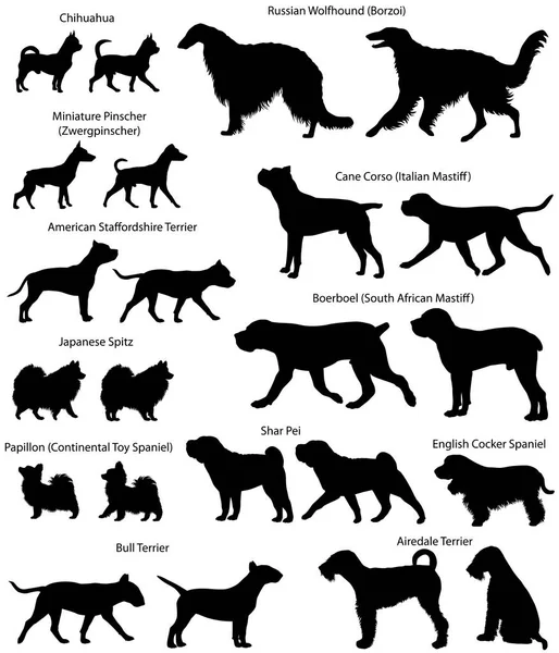 Sammlung Von Silhouetten Verschiedener Hunderassen — Stockvektor
