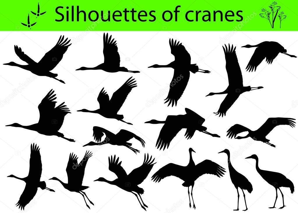 Collection of silhouettes of cranes
