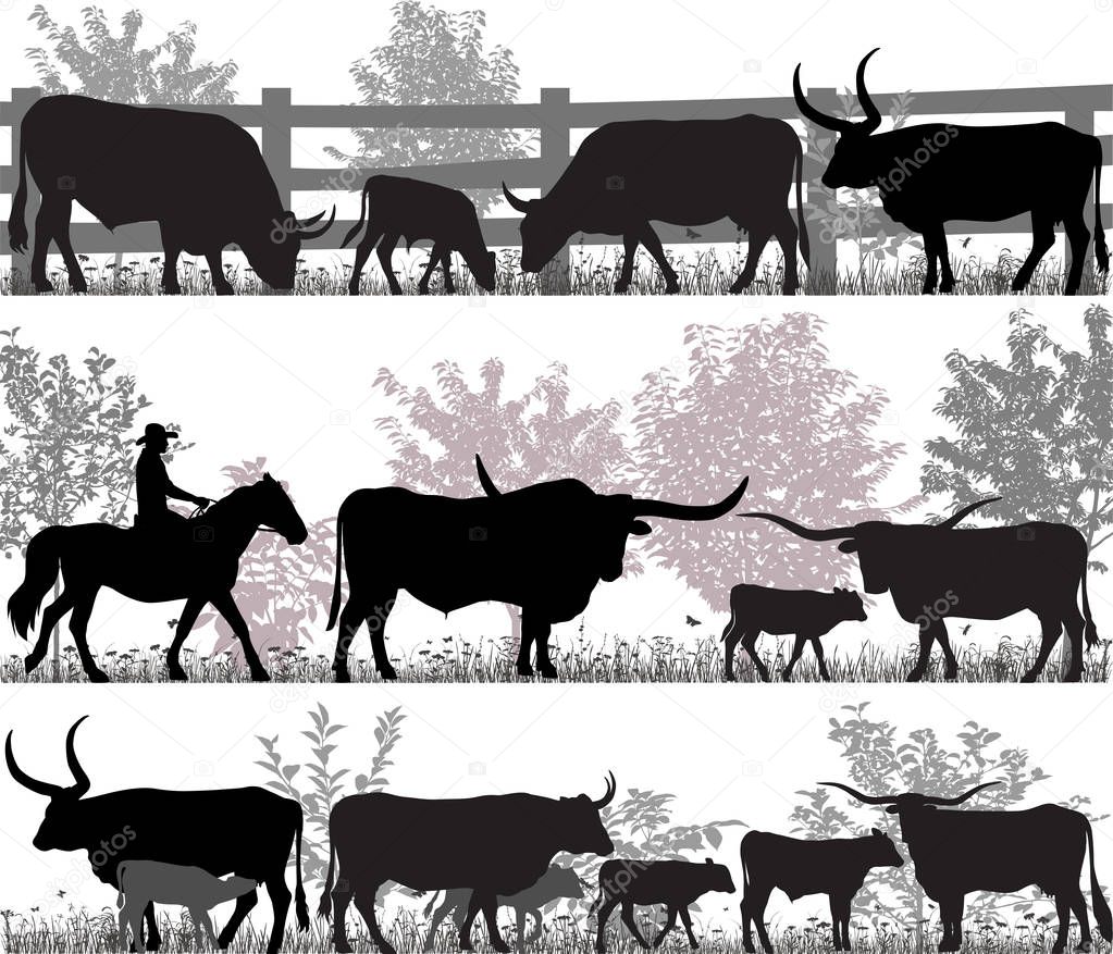 Silhouettes of cattle breed of texas longhorn
