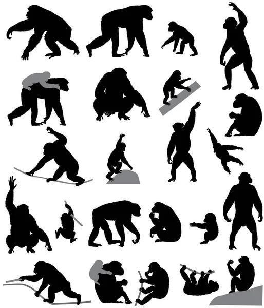 Collection Silhouettes Chimpanzés Ses Petits — Image vectorielle