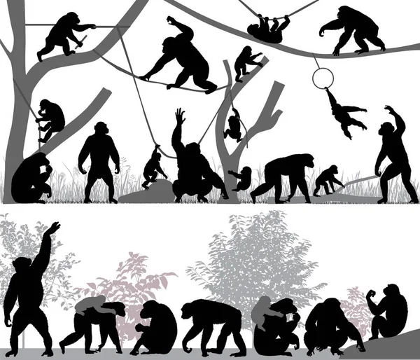 Silhouettes Chimpanzees Its Cubs Outdoors — Stock Vector