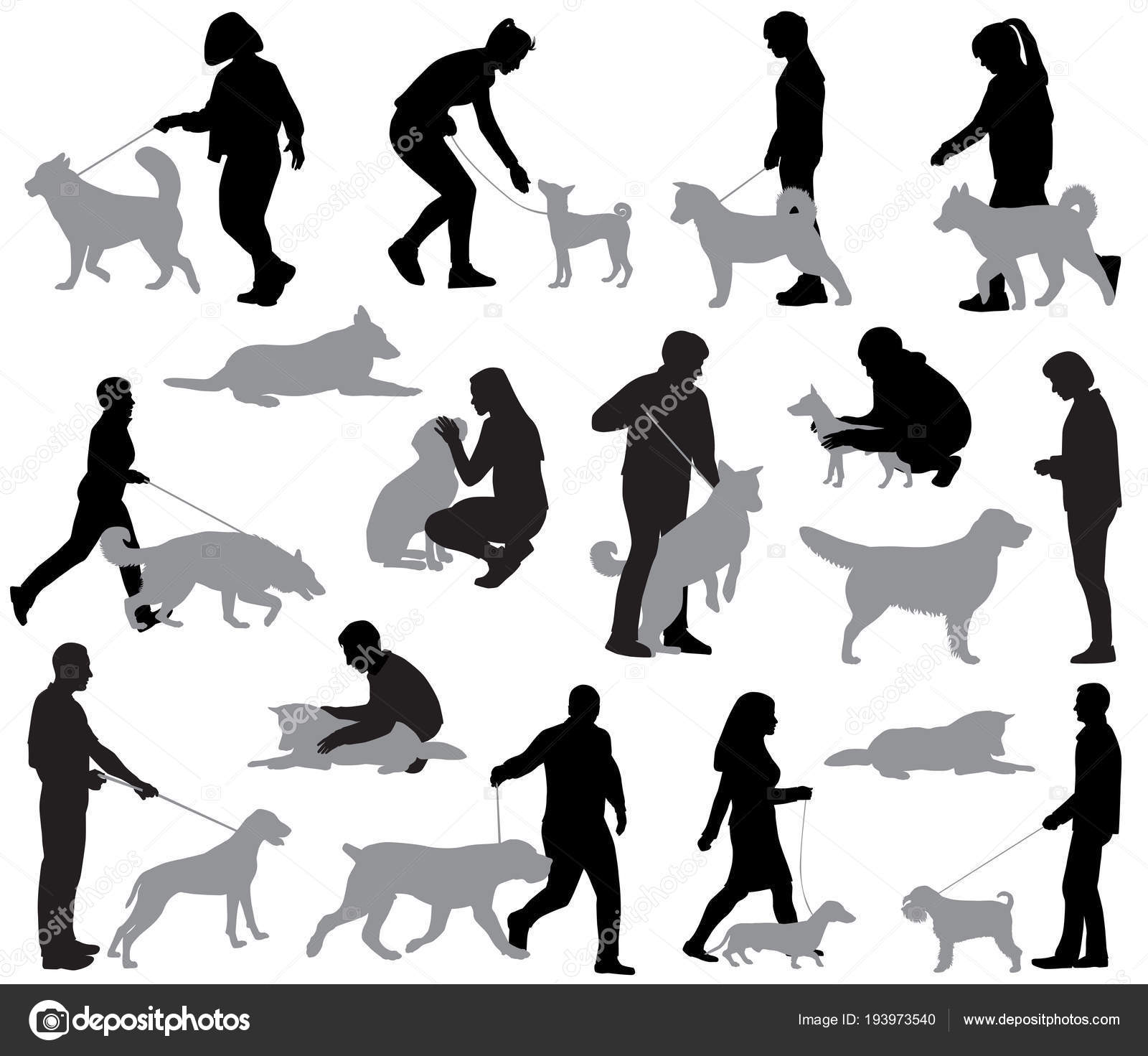 Grupo Suíço Branco Do Vetor Do Cão-pastor De Silhuetas Ilustração