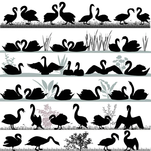 Silhouettes Swans Outdoors Floating Water — Stock Vector