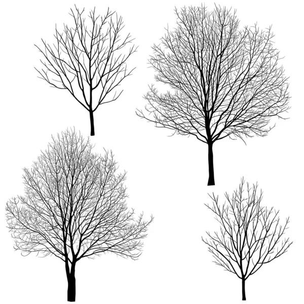 Collection Silhouettes Arbres Sans Feuilles — Image vectorielle