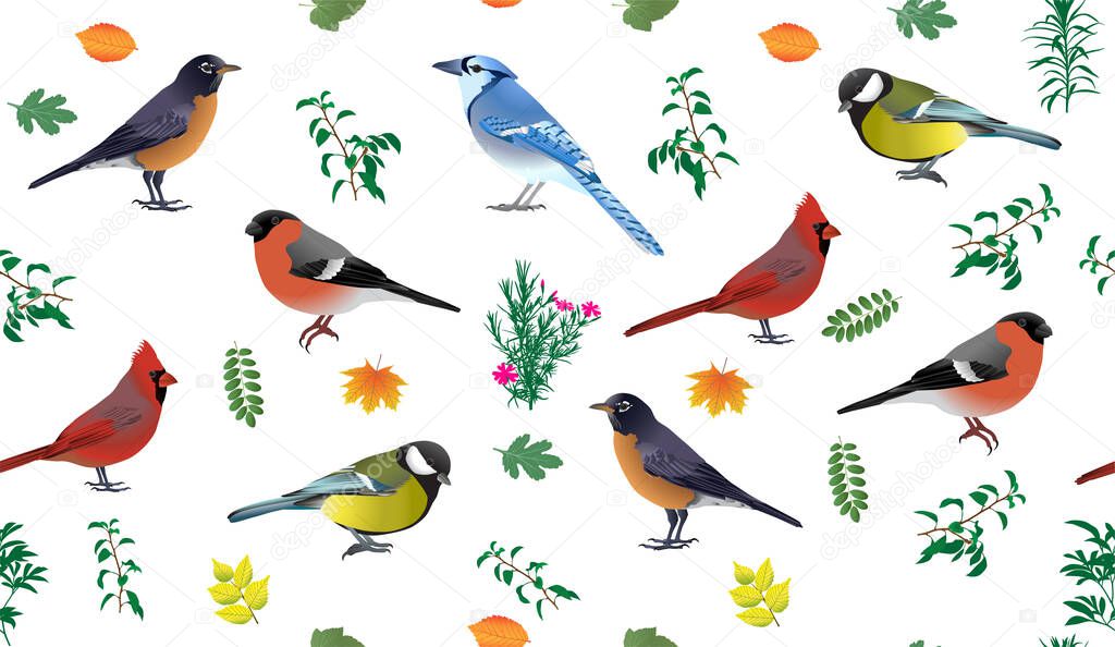 Seamless pattern with birds and leaves in colour image. Species of birds: american robin, blue jay, common bullfinch, great tit, northern cardinal.