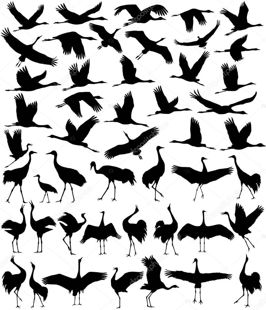 Collection of silhouettes of cranes in different positions