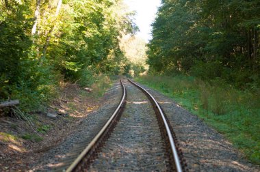 Ormandaki eski demiryolu.