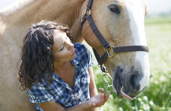Женщина и лошадь вместе в загоне — стоковое фото