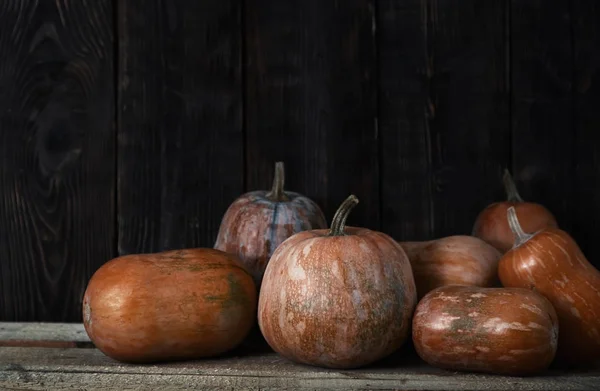 Stack of pumpkins after harvesting — Stock Photo, Image