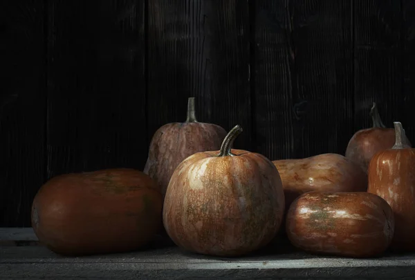 Stack of pumpkins after harvesting — Stock Photo, Image