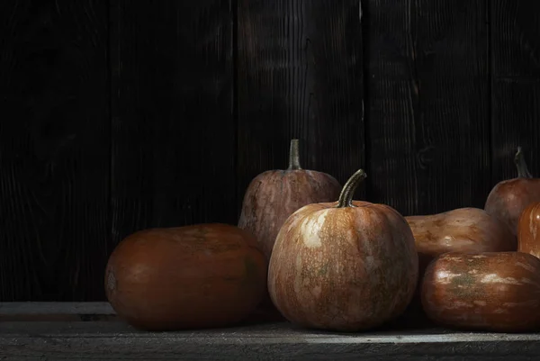 Stack of pumpkins after harvesting — Stock Photo, Image