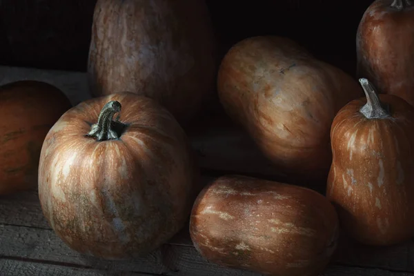 Grupo de calabazas sobre una mesa de madera — Foto de Stock