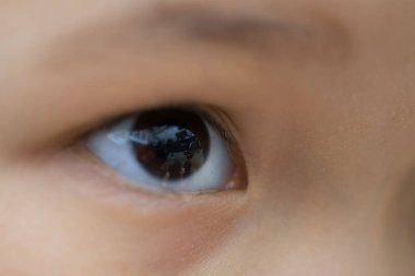 Çocuk göz makro fotoğraf