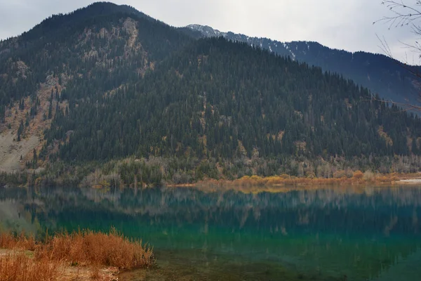 Lago Morena Con Piante Alberi Canada Alberta Banff — Foto Stock