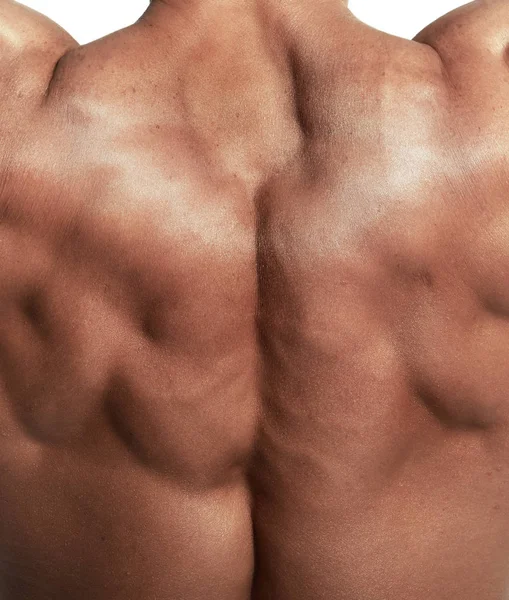 Muscular torso of bodybuilder — Stock Photo, Image