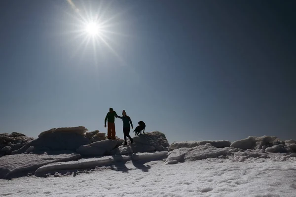 Unga vuxna par utomhus med hund utforska vinterlandskapet — Stockfoto
