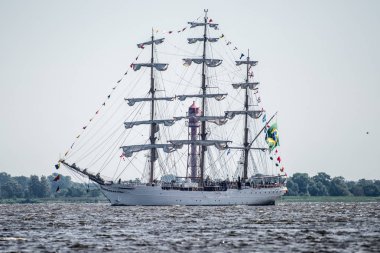 Trzebiez, Polonya - 08 Ağustos 2017 - yelkenli gemi Cisne Branco uzun boylu Gemi Yarışları 2017 yılında 05-08 Ağustos, Stettin Polonya final sonra tam denize yelken