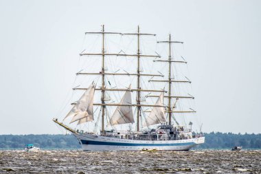 Trzebiez, Polonya - 08 Ağustos 2017 - yelkenli gemi Mir uzun boylu Gemi Yarışları 2017 yılında 05-08 Ağustos, Stettin Polonya final sonra tam denize yelken