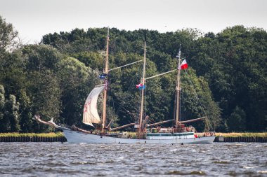 Trzebiez, Polonya - 08 Ağustos 2017 - yelkenli gemi Zawisza Czarny uzun boylu Gemi Yarışları 2017 yılında 05-08 Ağustos, Stettin Polonya final sonra tam denize yelken