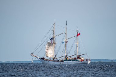 Trzebiez, Polonya - 08 Ağustos 2017 - yelkenli gemi Zawisza Czarny uzun boylu Gemi Yarışları 2017 yılında 05-08 Ağustos, Stettin Polonya final sonra tam denize yelken