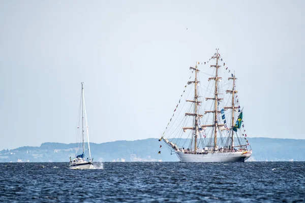 Trzebiez, Polonya - 08 Ağustos 2017 - yelkenli gemi Cisne Branco uzun boylu Gemi Yarışları 2017 yılında 05-08 Ağustos, Stettin Polonya final sonra tam denize yelken