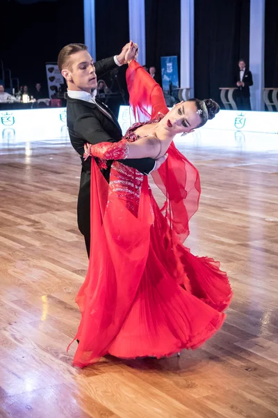 Standart dans dans dansçılar