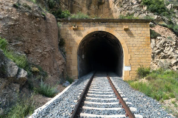 Alter Eisenbahntunnel mit Eisenbahn — Stockfoto