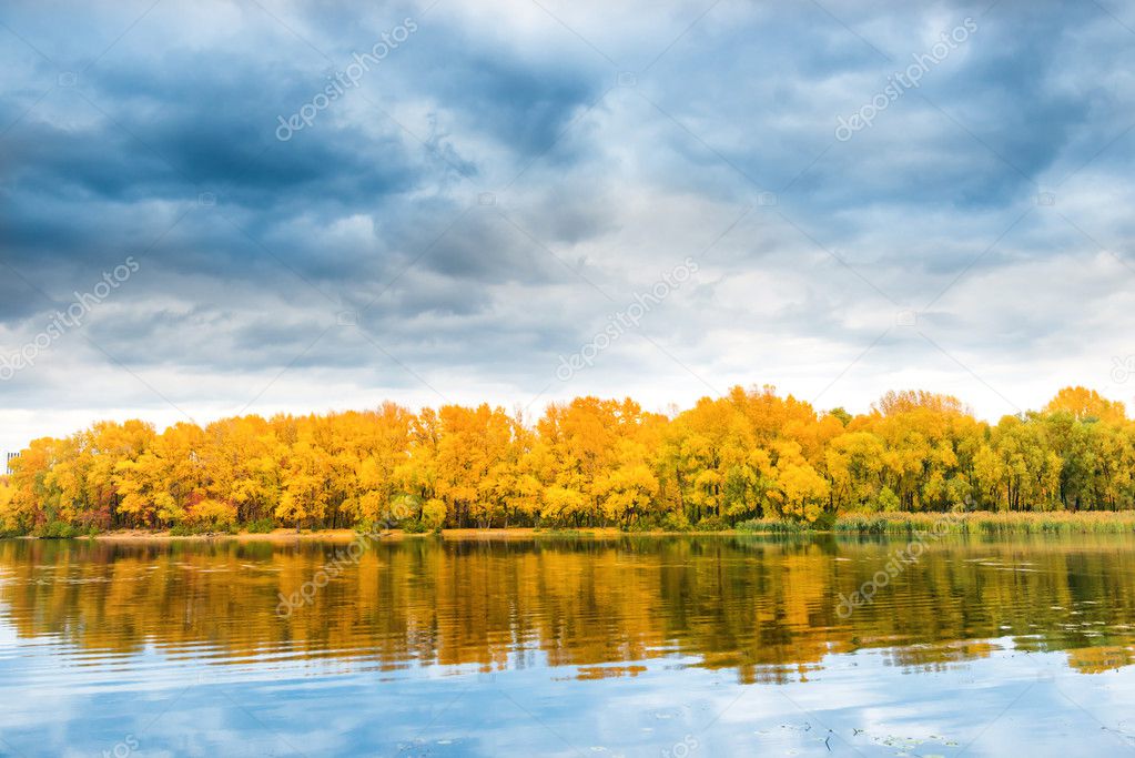 Pântano Com água E Areia Movediça Imagem de Stock - Imagem de lago