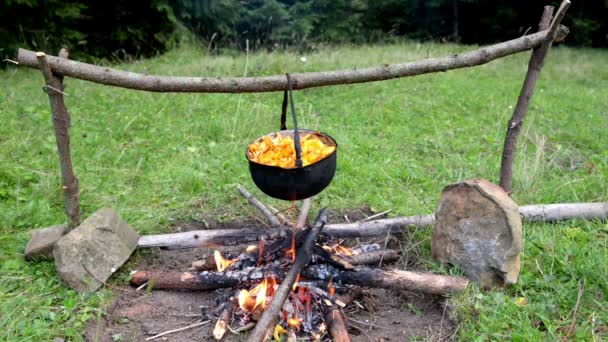 Caldeirão com cozinhar cogumelos comestíveis — Vídeo de Stock