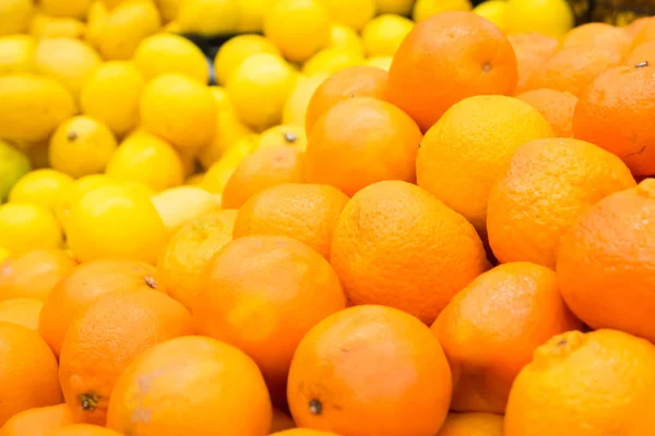 Świeże pomarańcze i cytryny — Zdjęcie stockowe