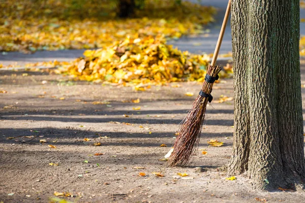 Limpieza en el parque de otoño — Foto de Stock