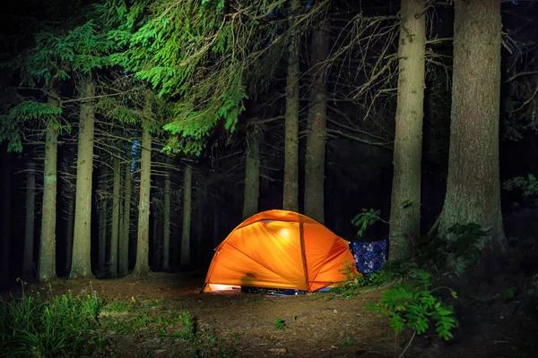 Illuminated tent in the forest — Stock Photo, Image