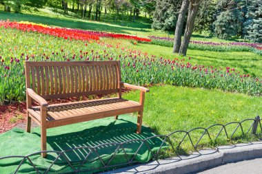 Parktaki ahşap bank.