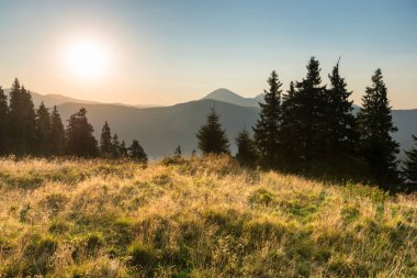 Günbatımı dağ ve orman