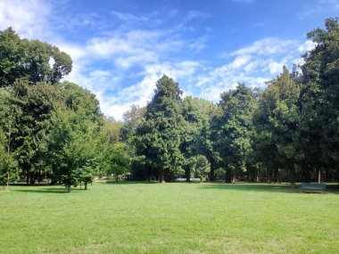 Yeşil park ve gökyüzü