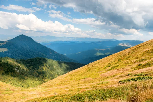 Žluté hory se stromy — Stock fotografie