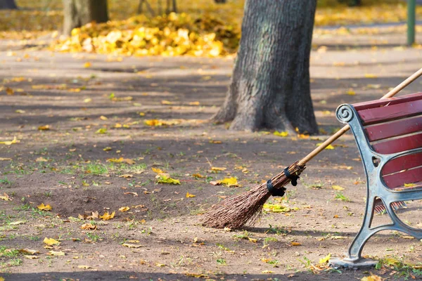 Cleaning in the autumn park — Stock Photo, Image