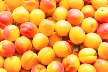 Çiftlik piyasadaki birçok taze kayısı